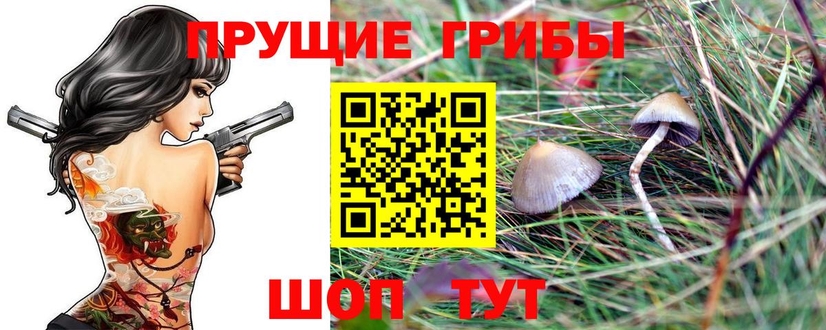 Псилоцибиновые грибы прущие грибы  Вход с VPN  Кудрово 