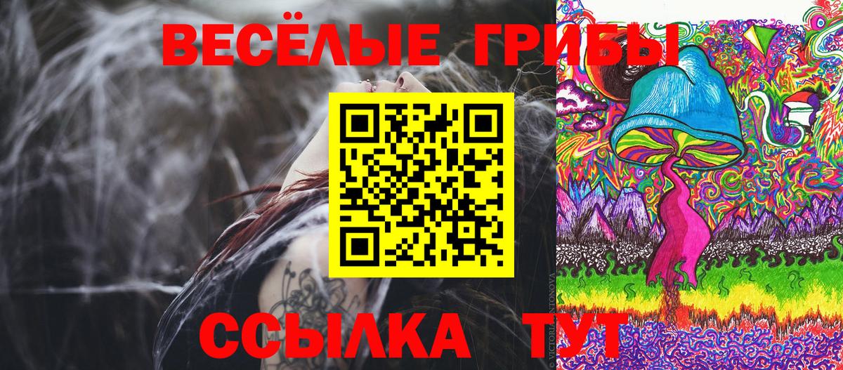 Псилоцибиновые грибы MAGIC MUSHROOMS Кудрово