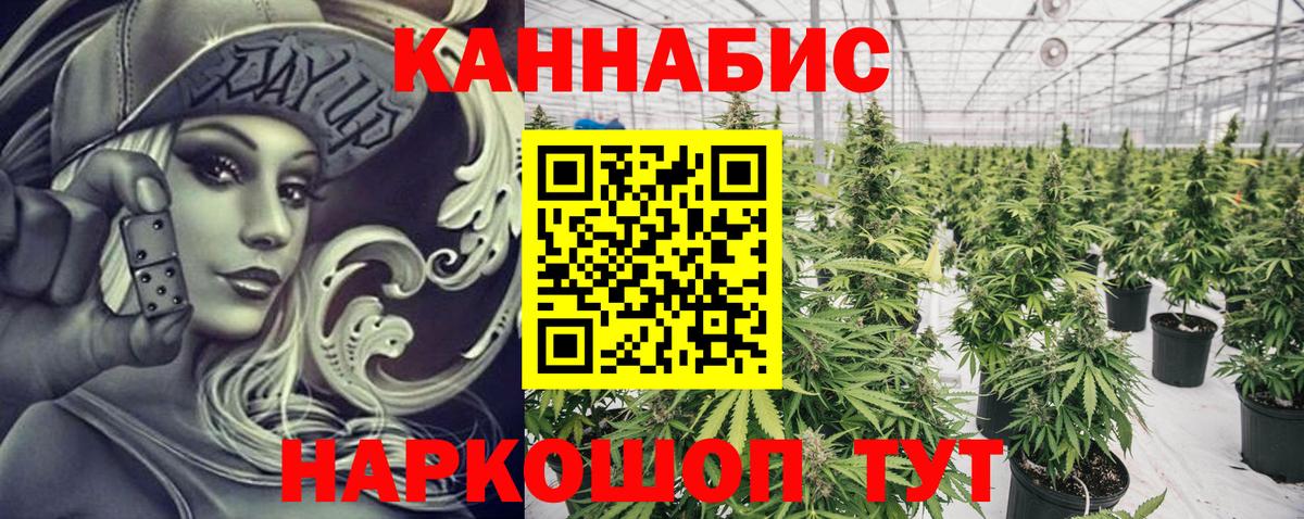 Канабис ГИДРОПОН Кудрово